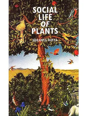 Social Life of Plants