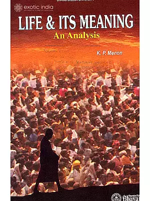 Life and Its Meaning: An Analysis