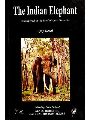 The Indian Elephant (Endangered in the land of Lord Ganesha)