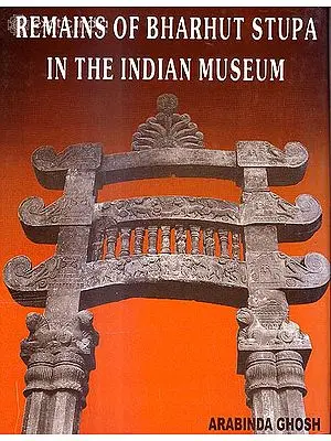 Remains of Bharhut Stupa In the Indian Museum