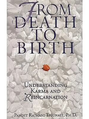From Death To Birth (Understanding Karma and Reincarnation)
