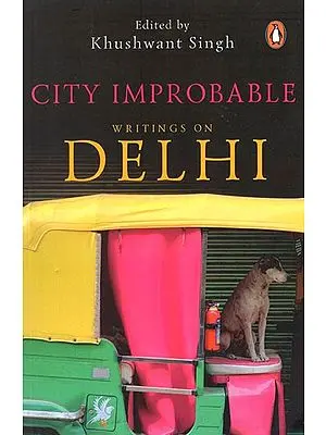 City Improbable (Writings on Delhi)