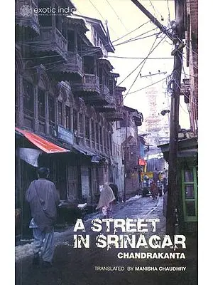 A Street in Srinagar (Chandrakanta)