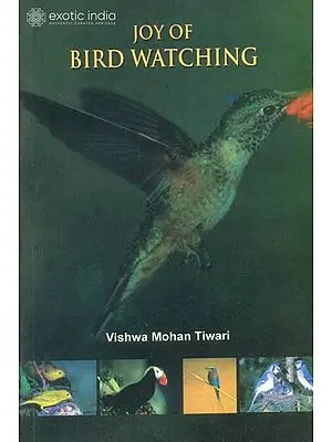 Joy of Bird Watching