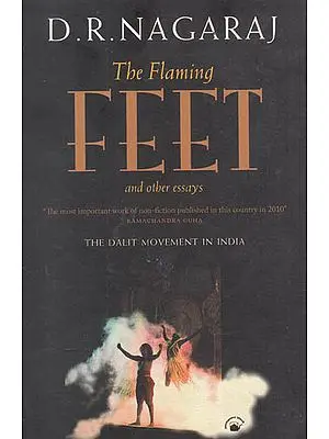 The Flaming Feet and Other Essays (The Dalit Movement in India)