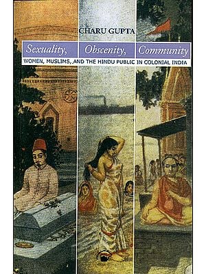 Sexuality, Obscenity, Community (Women, Muslims, and The Hindu Public in Colonial India)