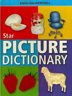 Star Picture Dictionary