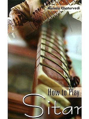 How to Play Sitar (With Notation)
