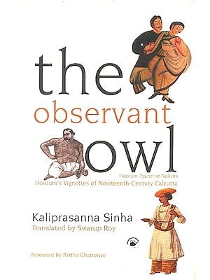 The Observant Owl