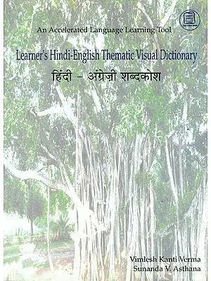 Learner's Hindi-English Thematic Visual Dictionary (Superbly Illustrated)