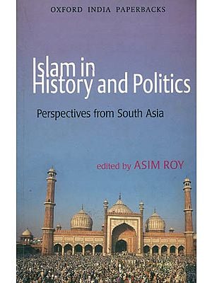 Islam in History and Politics (Perspeandalctives From South Asia)