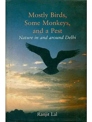 Mostly Birds, Some Monkeys, and a Pest (Nature in and Around Delhi)
