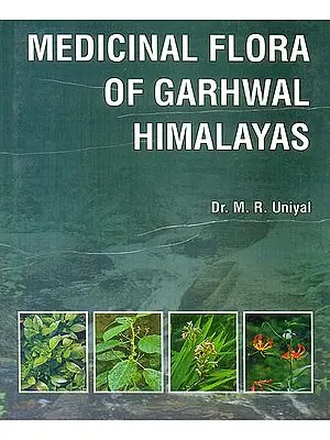 Medicinal Flora of Garhwal Himalayas