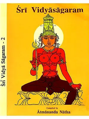 Sri Vidyasagaram (Set of 2 Volumes)