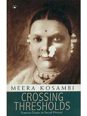Crossing Thresholds (Feminist Essays in Social History)