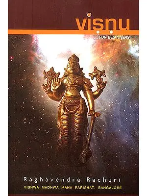 Visnu (For Beginners)
