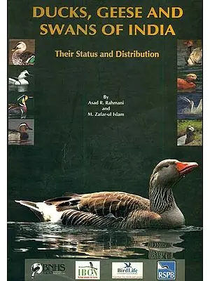 Ducks, Geese and Swans of India (Their Status and Distribution)