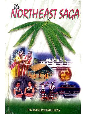 The Northeast Saga