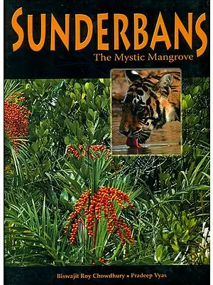 Sunderbans (The Mystic Mangrove)