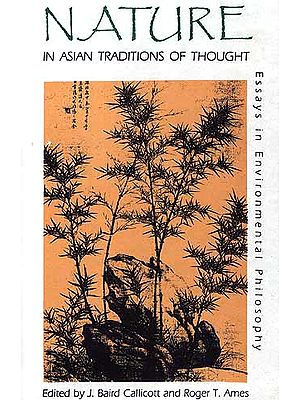 Nature in Asian Traditions of Thought: Essays in Environmental Philosophy