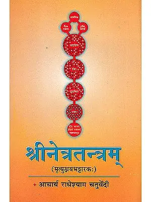 Srinetratantram (Mrtyunjayabhattarakah)