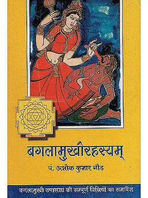 Baglamukhi Rahasayam - The Methods of Worshipping Goddess Bagalamukhi