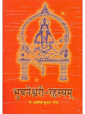 भुवनेश्वरी रहस्यम्: Methods of Worshiping Goddess Bhuvaneshwari