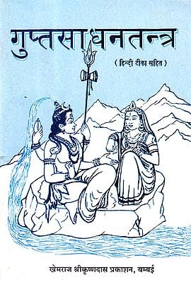 गुप्तसाधनतन्त्र (संस्कृत एवं हिंदी अनुवाद) -  Gupt Sadhana Tantra (Khemraj Edition)