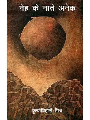 नेह के नाते अनेक: Collected Essays