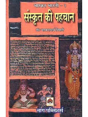 संस्कृत की पहचान: Essays on Sanskrit Literature