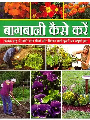 बागबानी कैसे करें: How to Do Gardening