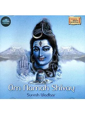 Om Namah Shivay (Audio CD)