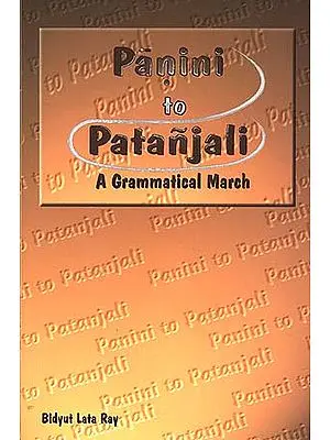 Panini to Patanjali: A Grammatical March