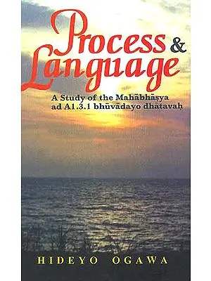 Process and Language A Study of the Mahabhasya ad A1.3.1 bhuvadayo dhatavah