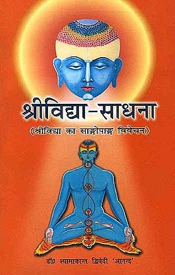श्रीविद्या साधना Sri Vidya Sadhana (In Hindi)