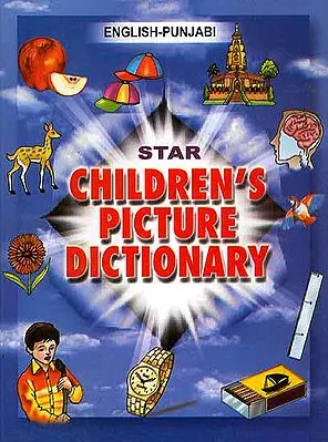 Star English-Punjabi Children's Picture Dictionary (With Roman)