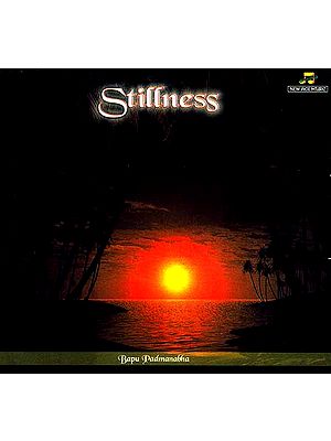 Stillness (Audio CD)