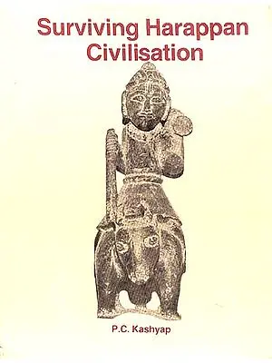 Surviving Harappan Civilisation