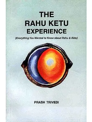 The Rahu Ketu Experience: (Everything You wanted to Know about Rahu and Ketu)