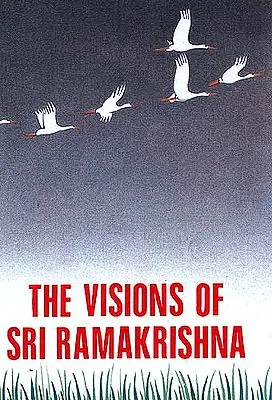 The Visions Of Sri Ramakrishna