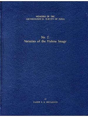Varieties of the Vishnu Image
