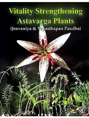 Vitality Strengthening Astavarga Plants (Jeevaniya and Vayasthapan Paudhe)