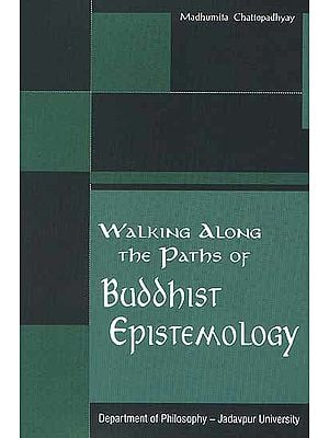 Walking Along the Paths of Buddhist Epistemology