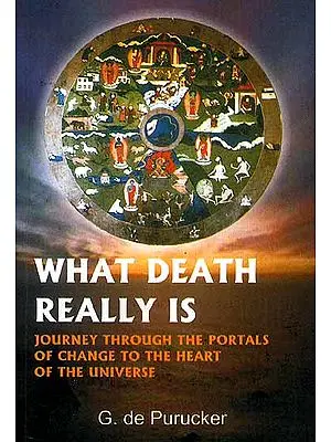 What Death Really Is Questions We All Ask