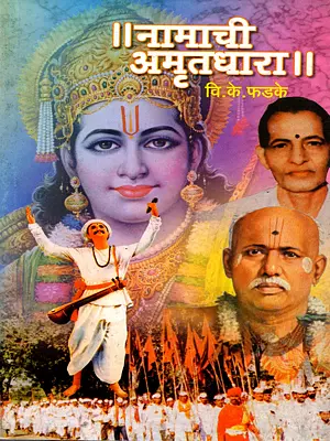 नामाची अमृतधारा: Namachi Amritadhara (Marathi)