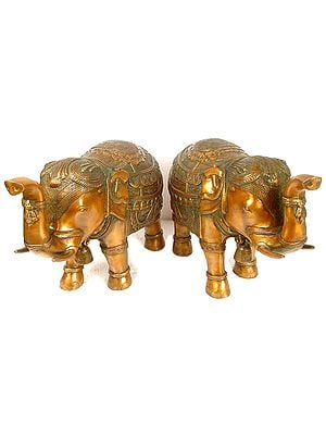 A Pair of Auspicious Temple Elephants with Bells