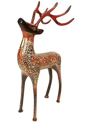 Antelope