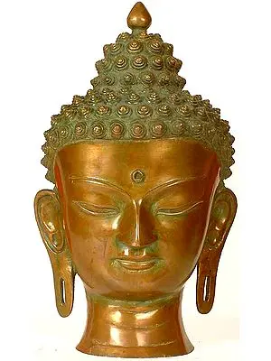 Introspective Buddha Head