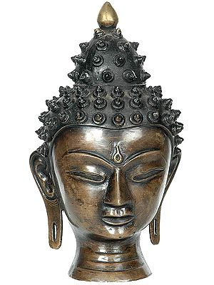 Buddha Head with Crawling Snails for Hair
