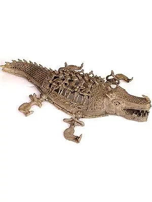 Crocodile